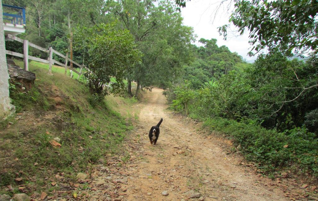 Fazenda Sao Miguel Villa Amparo  Rom bilde